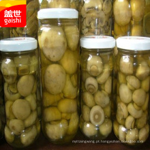 Cogumelo Chinês Comida Enlatada